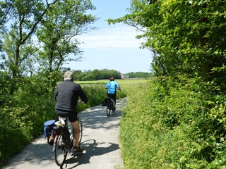 Appartamento per vacanze Den Burg Ambiente 16