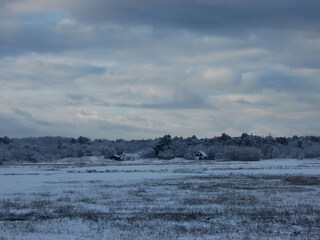 Appartamento per vacanze Den Burg Ambiente 17