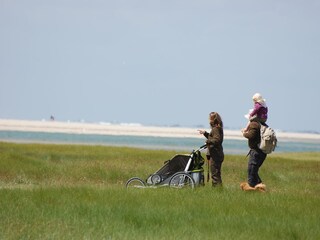 Appartamento per vacanze Den Burg Ambiente 19