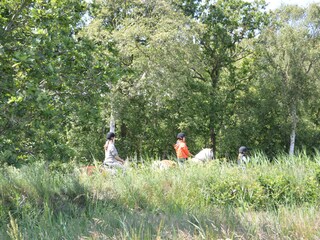 Appartamento per vacanze Den Burg Ambiente 21