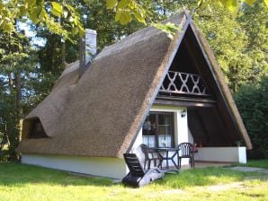 Ferienhaus Bludniki - Burg im Spreewald - image1