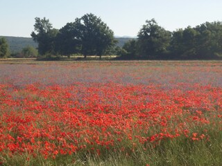 Casa per le vacanze Flayosc Ambiente 21