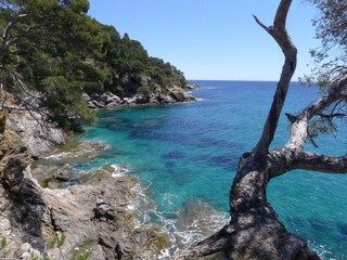 Casa per le vacanze Flayosc Ambiente 22