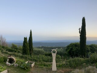 Vakantiehuis Flayosc Omgeving 25