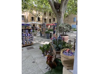 Casa per le vacanze Flayosc Ambiente 26