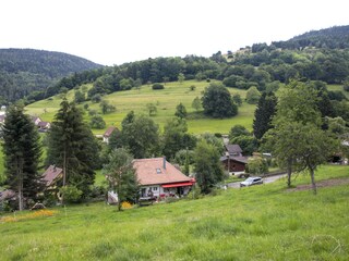 Apartamento de vacaciones Breitenbach-Haut-Rhin Grabación al aire libre 4