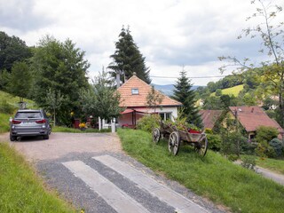 Apartamento de vacaciones Breitenbach-Haut-Rhin Grabación al aire libre 3
