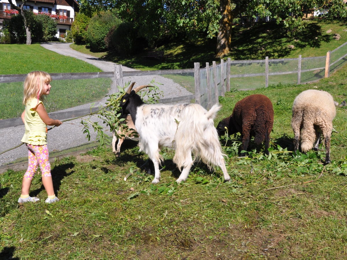 Tiere füttern - immer ein Erlebnis