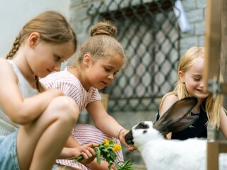 Appartamento per vacanze Gmünd in Kärnten Registrazione all'aperto 7