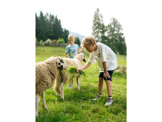 Appartamento per vacanze Gmünd in Kärnten Registrazione all'aperto 9