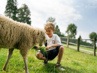Appartamento per vacanze Gmünd in Kärnten Registrazione all'aperto 14