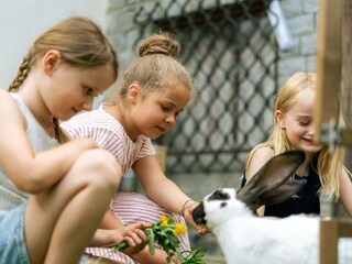 Appartamento per vacanze Gmünd in Kärnten Registrazione all'aperto 16