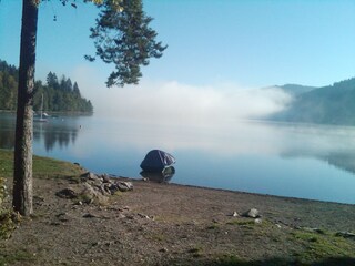 Das Ufer des Titisees