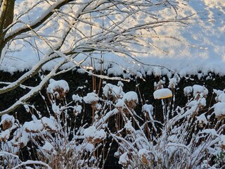 Holiday apartment Horumersiel Outdoor Recording 13