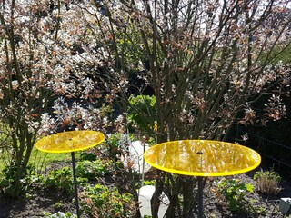 Holiday apartment Horumersiel Outdoor Recording 3