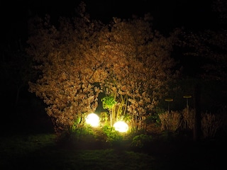 Ferienwohnung Horumersiel Außenaufnahme 4
