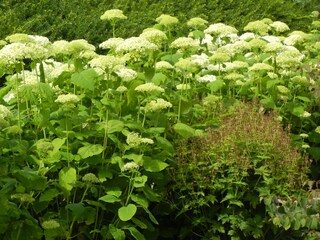 Holiday apartment Horumersiel Outdoor Recording 6