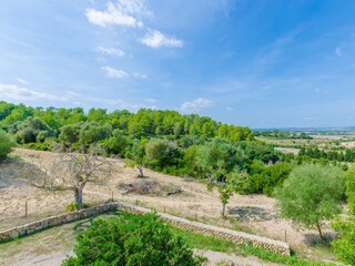 Finca Manacor Außenaufnahme 18