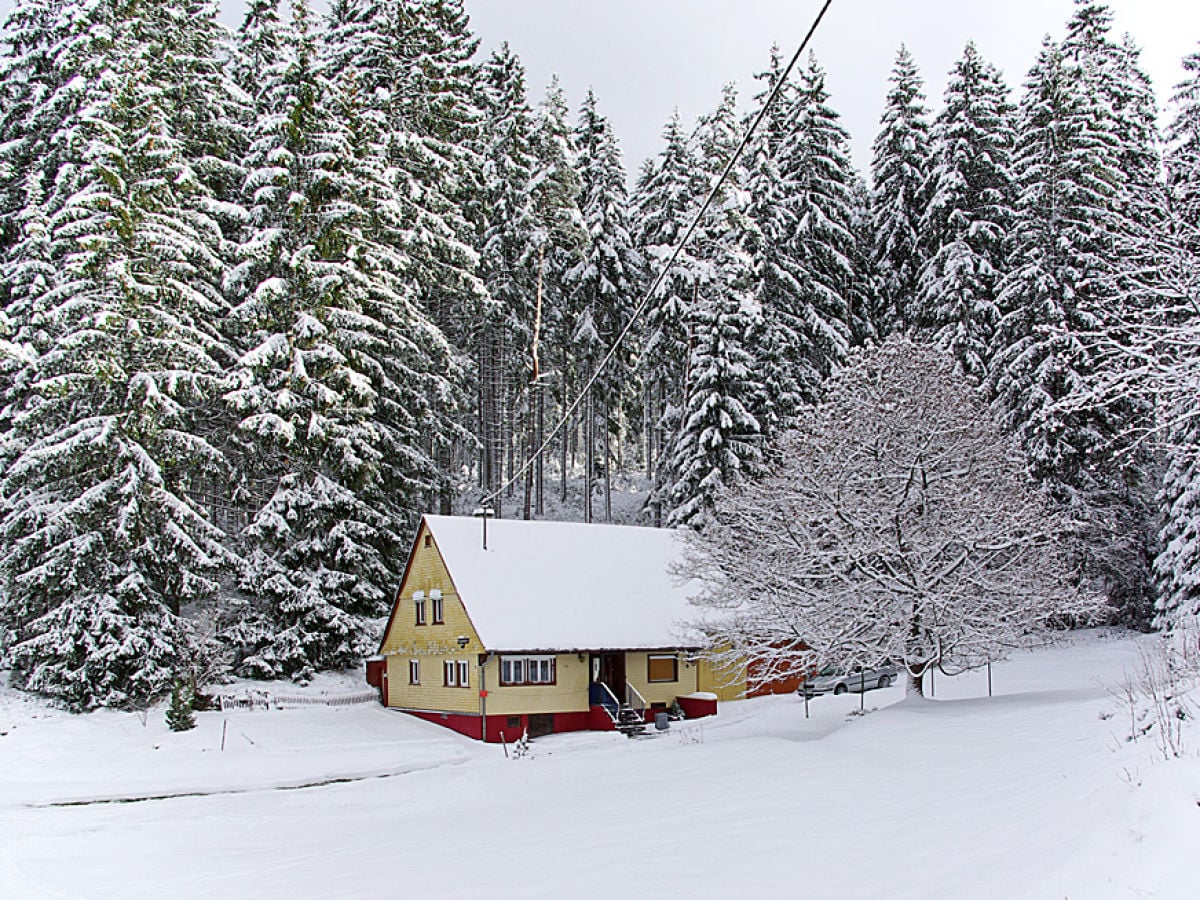 Rappenloch im Winter