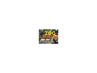 Zoo