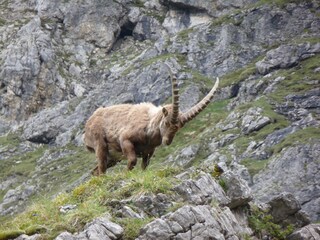Appartamento per vacanze Mittelberg Ambiente 15