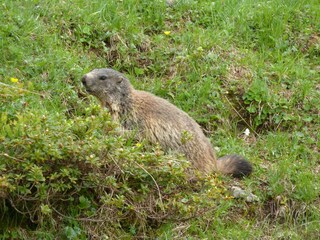 Appartamento per vacanze Mittelberg Ambiente 16