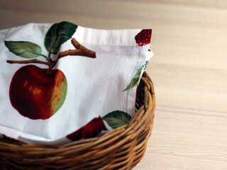 Appartamento per vacanze Mittelberg Caratteristiche 12