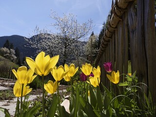 Holiday house St. Pankraz Outdoor Recording 4