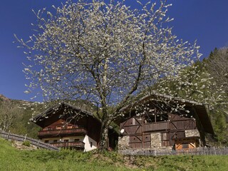 Vakantiehuis St. Pankraz Buitenaudio-opname 3