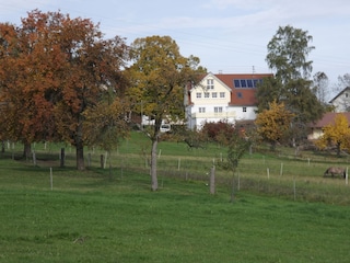 Ferienhaus Seewald