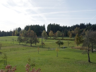 Landhaus Seewald - Garten