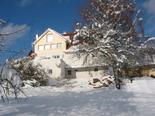 Landhaus Seewald im Schnee