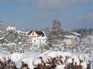 Winter in Seewald