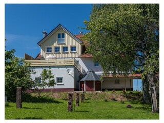 Blick vom Garten auf das Ferienhaus mit Aussensauna