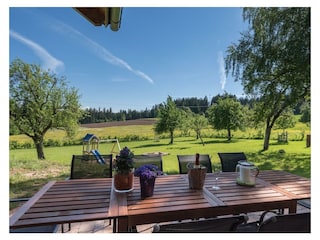 Blick in den Garten - im Hintergrund Spielplatz