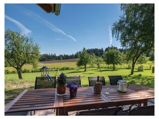 view in the garden - in the back playground