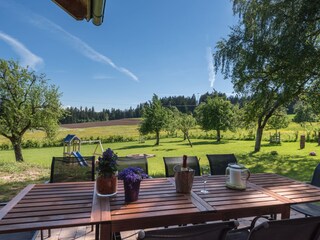 view in the garden - in the back playground