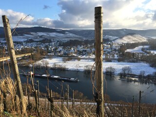 Mülheim an der Mosel