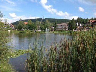 Der Kurparkteich in Hahnenklee