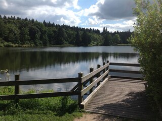 Der Kranichteich in Hahnenklee