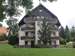 Blick vom Garten auf das Haus