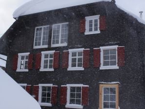 Ferienhaus Schwarzwaldbauernhaus Bernau - Bernau im Schwarzwald - image1