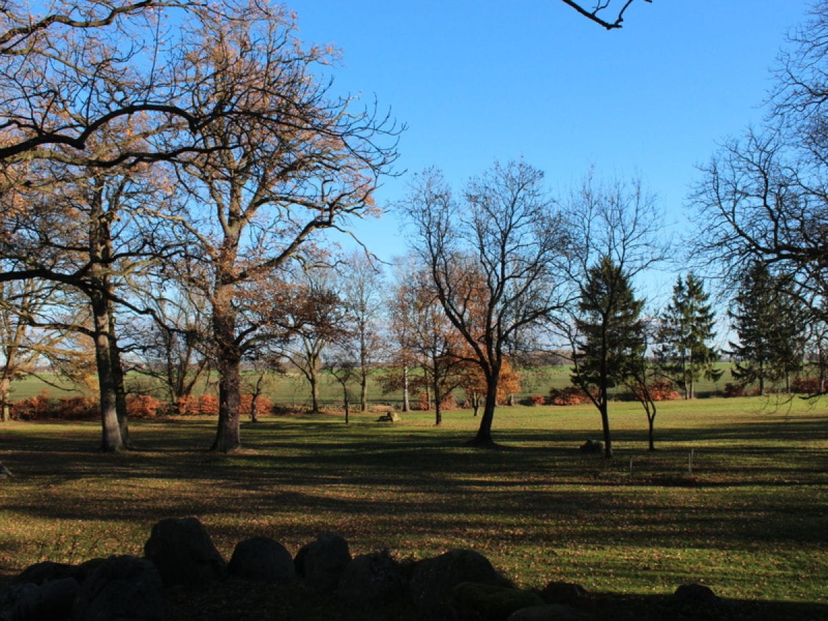 Park in autumn