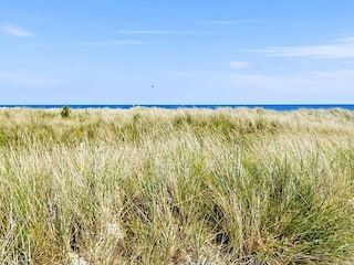 Ferienhaus Lyngså  19