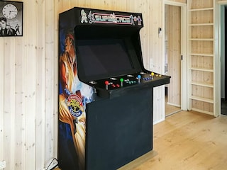 Ferienhaus Lyngså  44