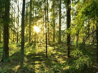 Holiday house Ljungby  7