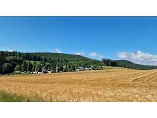 Appartement Willingen Environnement 27