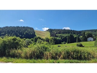 Appartement Willingen Omgeving 28