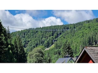 Apartment Willingen Umgebung 35