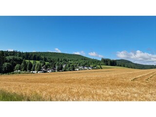 Apartment Willingen Umgebung 26